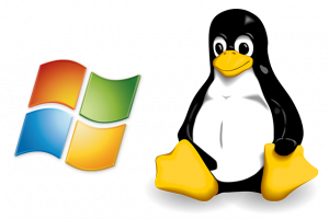 Linux and Windows Experts